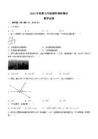 河南省南阳市镇平县2023-2024学年七年级上学期期末数学试题