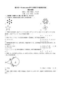 河南省新乡市红旗区第一中学2023-2024学年九年级上学期期末数学试题(无答案)