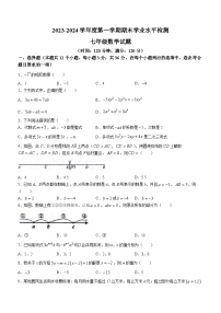 山东省聊城市莘县2023-2024学年七年级上学期期末数学试题(无答案)