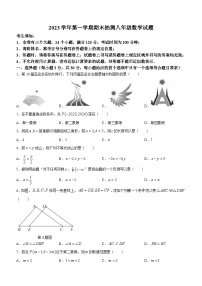 浙江省宁波市南三县2023-2024学年八年级上学期期末数学试题