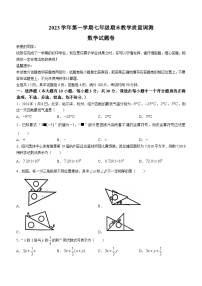 浙江省绍兴市越城区元培中学2023-2024学年七年级上学期期末数学试题(无答案)