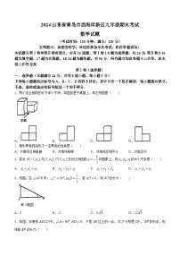 +山东省青岛市西海岸新区2023-2024学年九年级上学期期末考试数学试题(无答案)