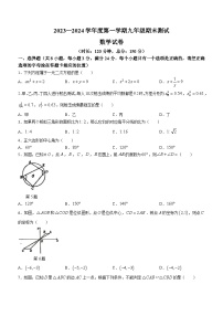 江苏省宿迁市宿城区南京师范大学附属中学宿迁分校2023-2024学年九年级上学期期末数学试题(无答案)