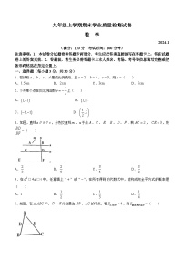 河南省安阳市汤阴县2023-2024学年九年级上学期期末数学试题