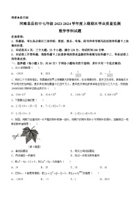 河南省信阳市息县2023-2024学年七年级上学期期末数学试题