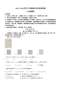 四川省省成都市高新区2023-2024学年九年级上学期期末考试数学试题