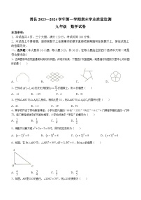 河南省安阳市滑县2023-2024学年九年级上学期期末数学试题