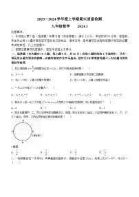 山东省临沂市平邑县2023-2024学年九年级上学期期末数学试题