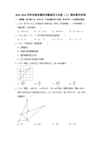 +河南省漯河市郾城区2023-2024学年九年级上学期期末数学试卷