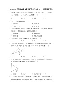 +河南省南阳市新野县2023-2024学年八年级上学期期末数学试卷