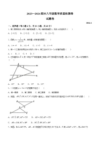 安徽省合肥市瑶海区2023-2024学年八年级上学期期末数学试题