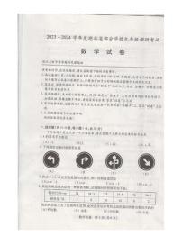2023-2024学年度湖北省部分学校九年级调研考试数学试卷