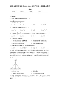 河南省南阳市南召县2023-2024学年八年级上学期期末数学试题(含答案)