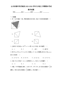 山东省德州市武城县2023-2024学年九年级上学期期末考试数学试题(含答案)