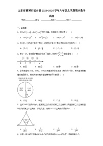 山东省淄博市桓台县2023-2024学年八年级上学期期末数学试题(含答案)