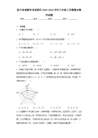 四川省成都市龙泉驿区2023-2024学年八年级上学期期末数学试题(含答案)