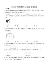 苏科版2023-2024学年数学九年级上册 期末培优试题(2)及答案