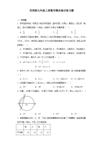 苏科版2023—2024学年数学九年级上册期末综合练习题