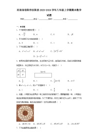 河南省洛阳市汝阳县2023-2024学年八年级上学期期末数学试题