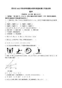 广西贺州八步区2023-2024学年八年级上学期期末考试数学试题（含答案）