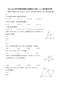 2023-2024学年河南省漯河市临颍县八年级（上）期末数学试卷（含解析）