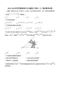 河南省周口市太康县2023-2024学年八年级上学期期末数学试题（含解析）