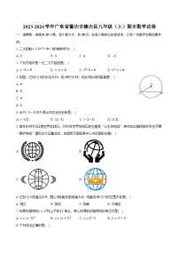 2023-2024学年广东省肇庆市德庆县九年级（上）期末数学试卷（含解析）