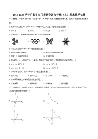 2023-2024学年广东省江门市新会区九年级（上）期末数学试卷（含解析）