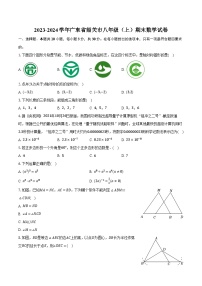 2023-2024学年广东省韶关市八年级（上）期末数学试卷（含解析）