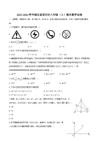 2023-2024学年湖北省黄冈市八年级（上）期末数学试卷（含解析）