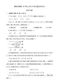 河南省驻马店市新蔡县2023-2024学年上学期九年级质量监测数学试卷+