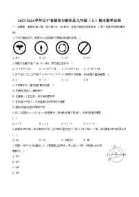 2023-2024学年辽宁省朝阳市朝阳县九年级（上）期末数学试卷（含解析）