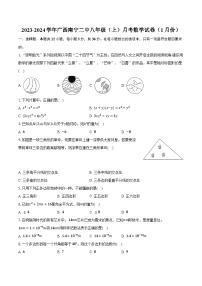 2023-2024学年广西南宁二中八年级（上）月考数学试卷（1月份）（含解析）