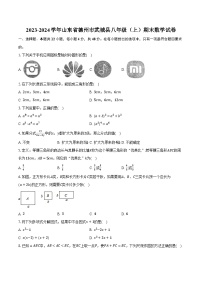 2023-2024学年山东省德州市武城县八年级（上）期末数学试卷（含解析）