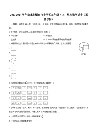 2023-2024学年山东省烟台市牟平区九年级（上）期末数学试卷（五四学制）（含解析）