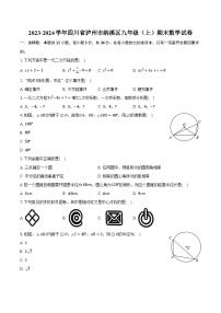 2023-2024学年四川省泸州市纳溪区九年级（上）期末数学试卷（含解析）