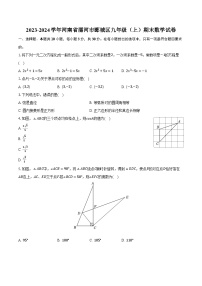 2023-2024学年河南省漯河市郾城区九年级（上）期末数学试卷（含解析）