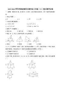 2023-2024学年河南省南阳市唐河县八年级（上）期末数学试卷（含解析）