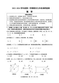 江苏省宿迁地区2023-2024学年九年级上学期期末调研监测数学试卷