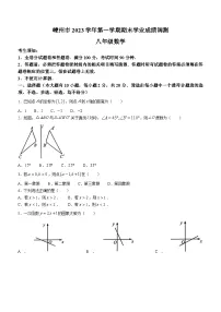 浙江省绍兴市嵊州市2023-2024学年八年级上学期期末数学试题