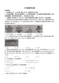 河南省安阳市内黄县2023-2024学年八年级上学期期末数学试题