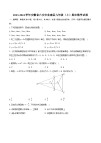 2023-2024学年安徽省六安市金寨县九年级（上）期末数学试卷（含解析）