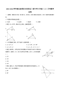 2023-2024学年湖北省武汉市汉阳区二桥中学八年级（上）月考数学试卷（含解析）