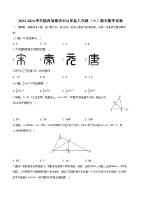 2023-2024学年陕西省商洛市山阳县八年级（上）期末数学试卷（含解析）