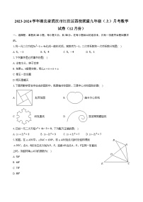 2023-2024学年湖北省武汉市江汉区四校联盟九年级（上）月考数学试卷（12月份）（含解析）