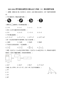 2023-2024学年湖北省武汉市青山区八年级（上）期末数学试卷（含解析）