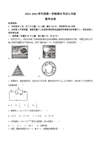 河南省漯河市临颍县2023-2024学年九年级上学期期末数学试题