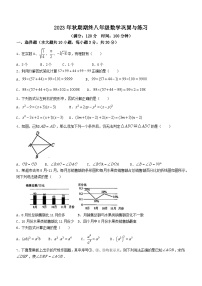 河南省南阳市内乡县2023-2024学年八年级上学期期末数学试题