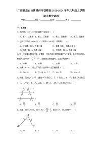 广西壮族自治区梧州市苍梧县2023-2024学年九年级上学期期末数学试题(含答案)