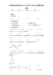 河南省洛阳市宜阳县2023-2024学年八年级上学期期末数学试题(含答案)